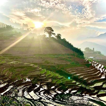 Eco Hills Homestay 萨帕 外观 照片