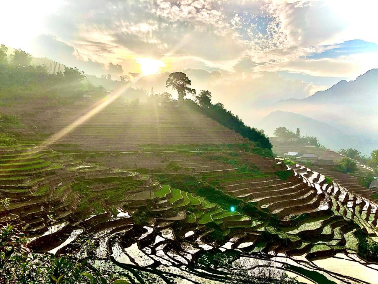 Eco Hills Homestay 萨帕 外观 照片