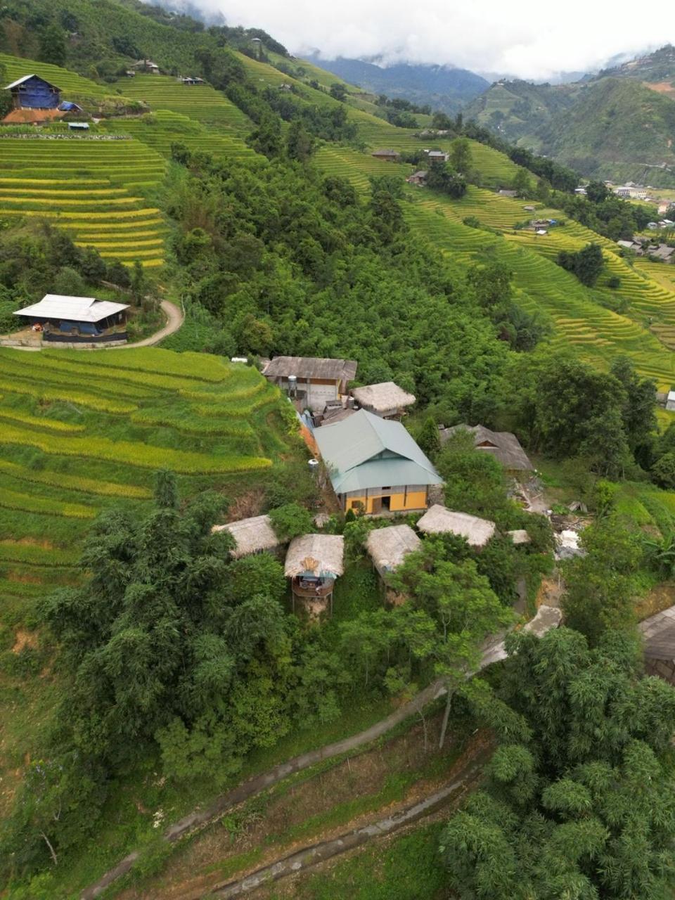 Eco Hills Homestay 萨帕 外观 照片