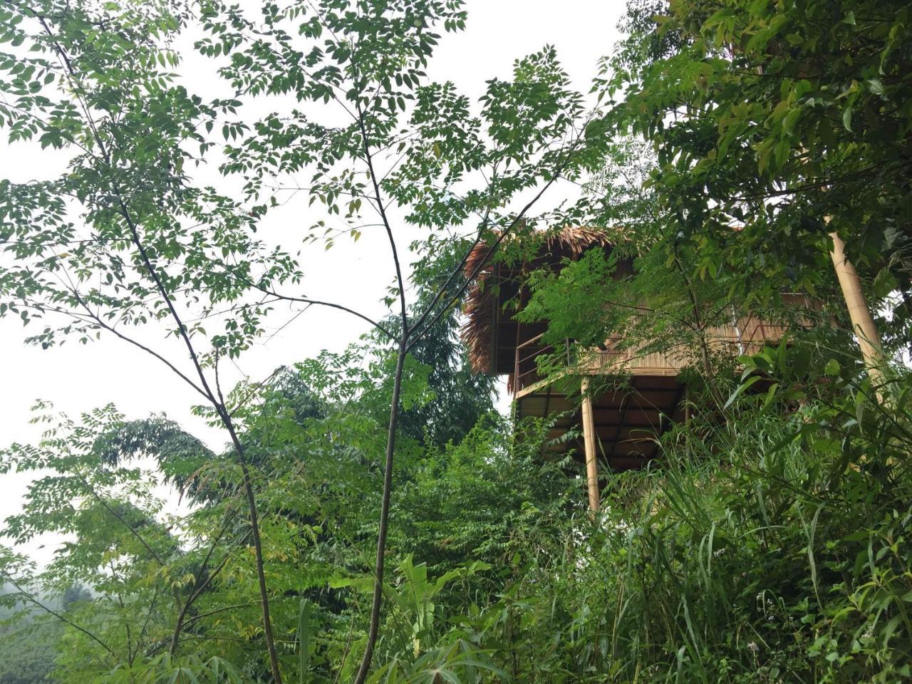 Eco Hills Homestay 萨帕 外观 照片